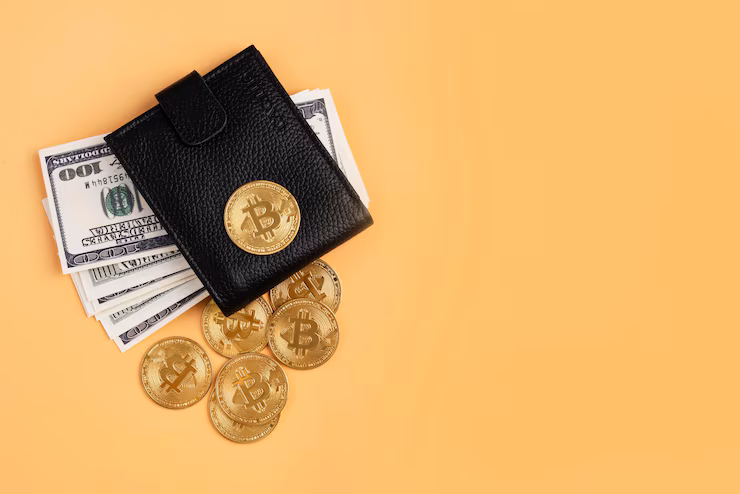 Best Crypto Wallet for Beginners in 2025
